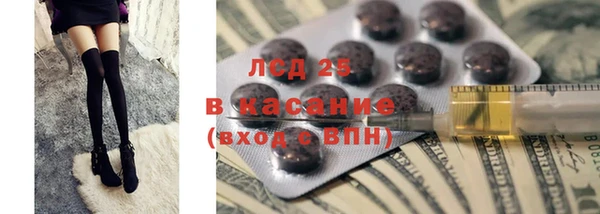 ГАЛЛЮЦИНОГЕННЫЕ ГРИБЫ Баксан