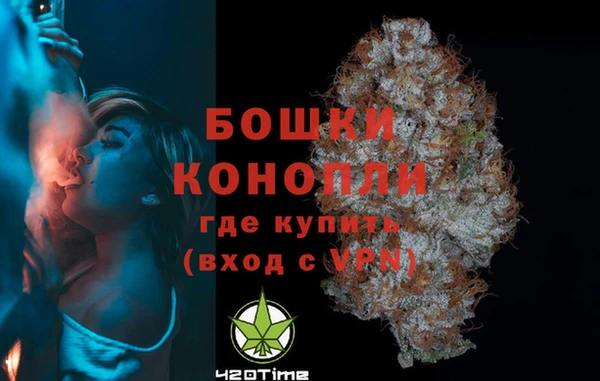 молекула духа Медвежьегорск