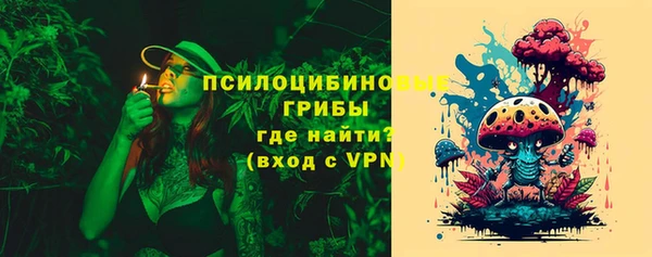 герыч Мегион