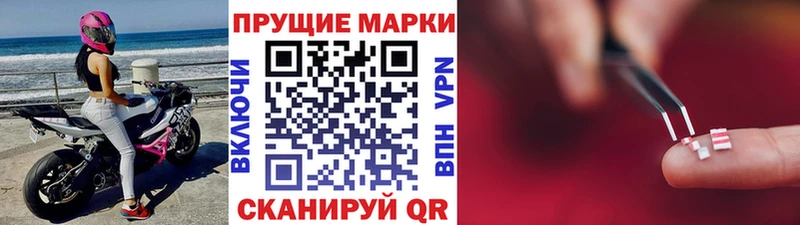 Марки N-bome 1,8мг  где найти   Болотное 