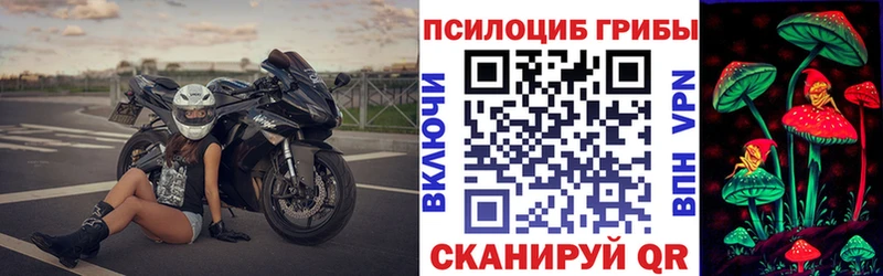 Псилоцибиновые грибы ЛСД  купить наркоту  Болотное 