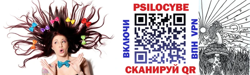 Псилоцибиновые грибы мицелий Болотное